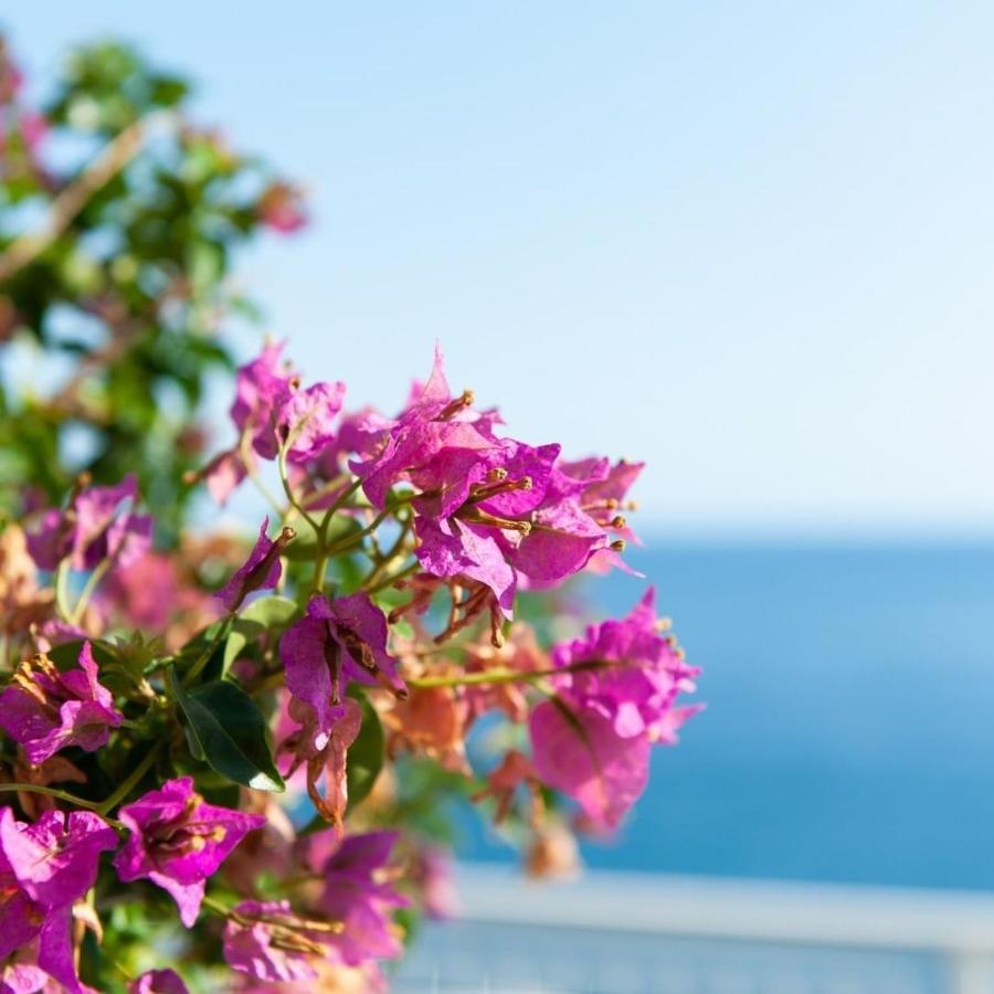 アチレアーレ Made In Sicily Santa Tecla Bed & Breakfast エクステリア 写真